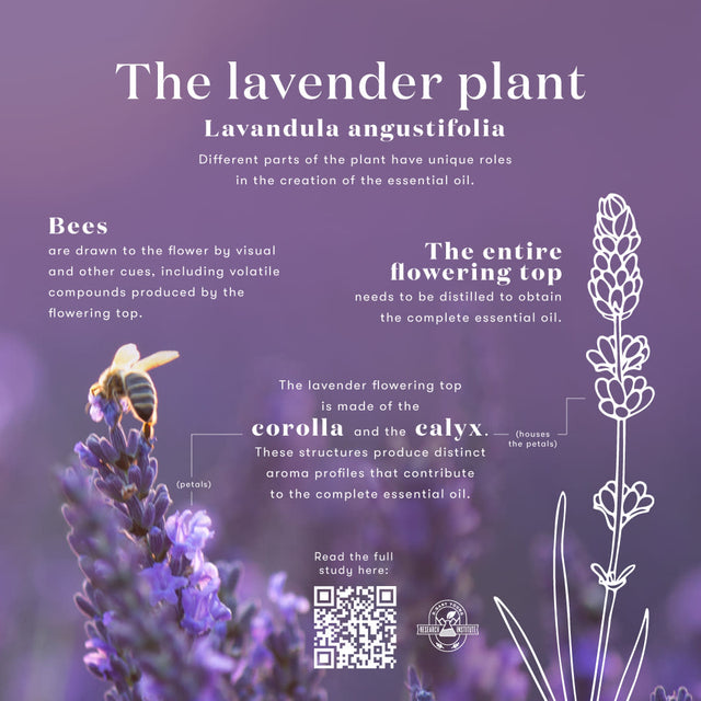 Young Living Essential Oil