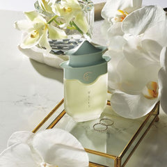Collection image for: Fragrance